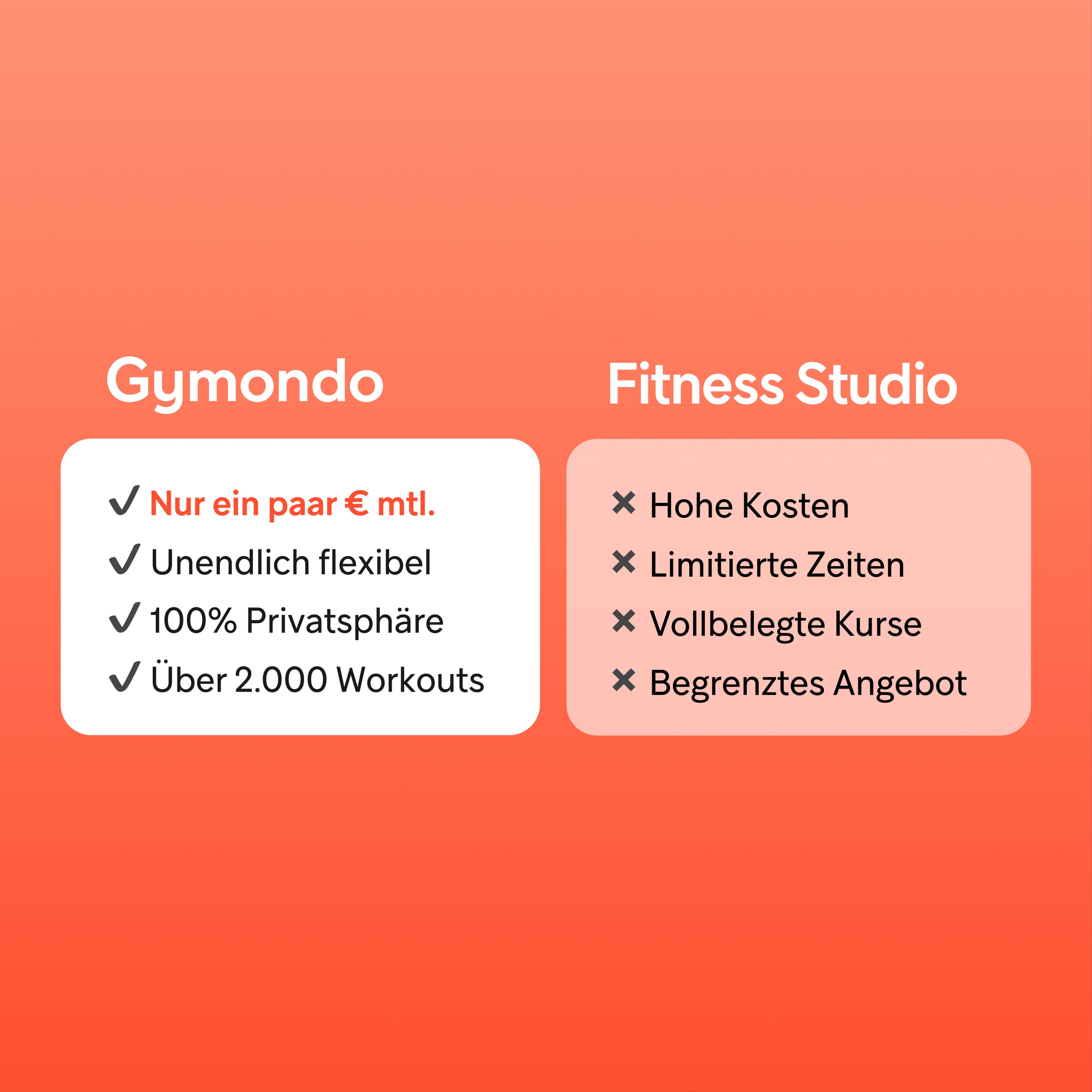 Header Decorative Image